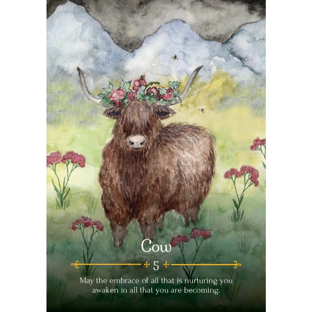 بطاقات بلتان-أوراكل موسم الساح - مراجعة Tarot Deck With Guidebook وسعره